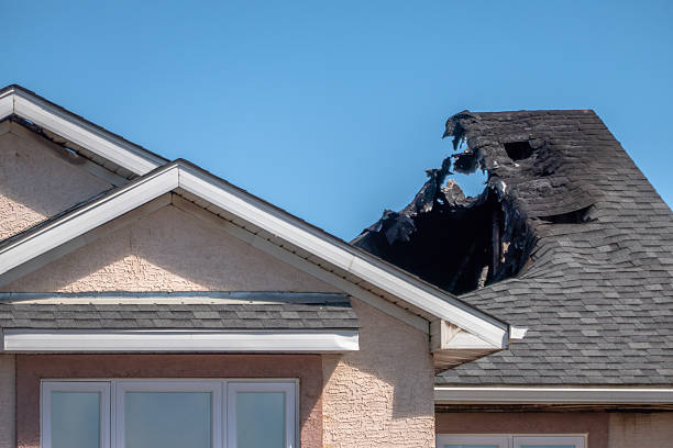 Top rated local Fire Damage Removal specialists in Richardson, TX